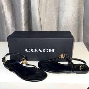 Coach Jazmin Ptle Size 5 Black Sandals NIB